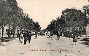Saint Denis du Sig 601
